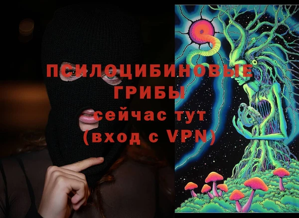 молекула духа Алексеевка