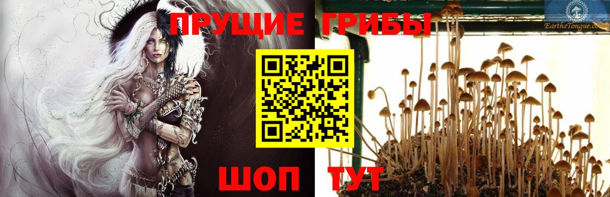 Ижевск  Псилоцибиновые грибы мицелий  Псилоцибиновые грибы Magic Shrooms  Вход с VPN 